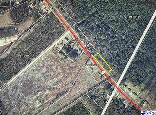 80/TRACT Highway 38 W, Latta, SC 29565