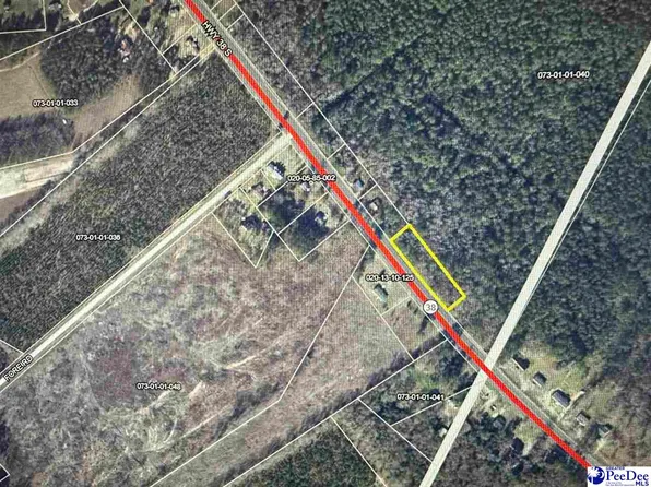 80/TRACT Highway 38 W, Latta, SC 29565