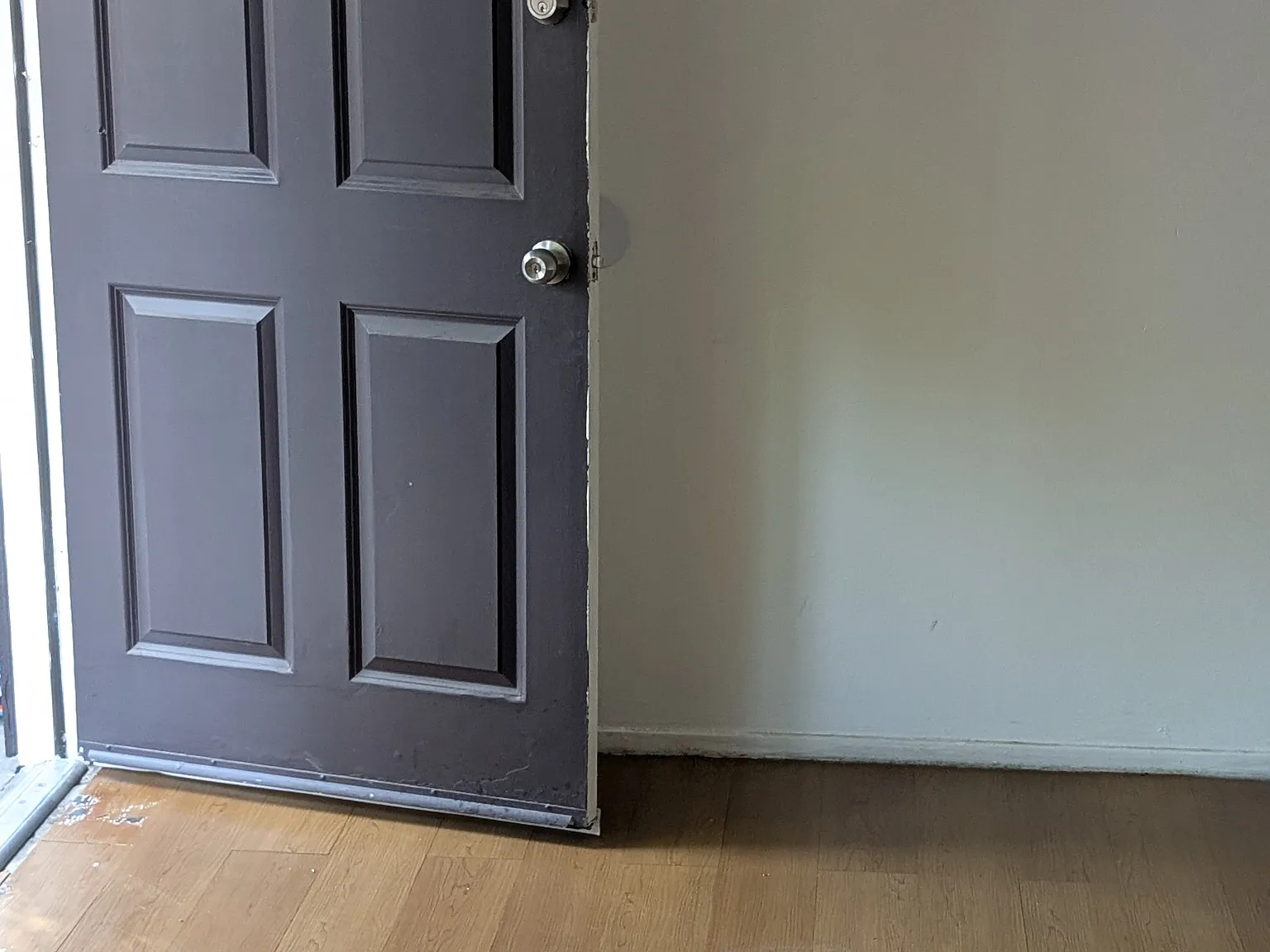 2 bed, 800 sqft, $1,175 — Photo 3