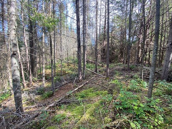 2nd image of 0 Municipal Rd N