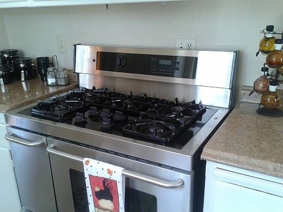 Gourmet stove