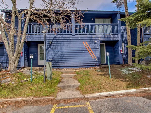 250 Cove Boulevard UNIT 3, Dillon, CO 80435