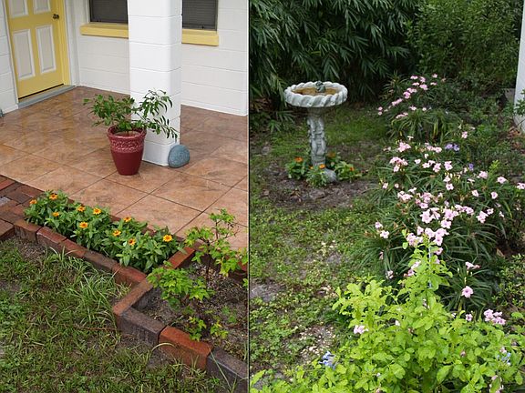 Elegant Landscaping