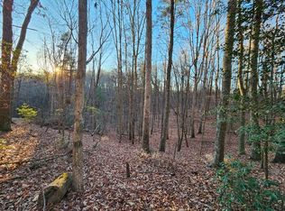 LOT 390 Walhalla Ct, Ellijay, GA 30540