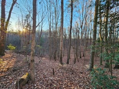 LOT 390 Walhalla Ct, Ellijay, GA, 30540