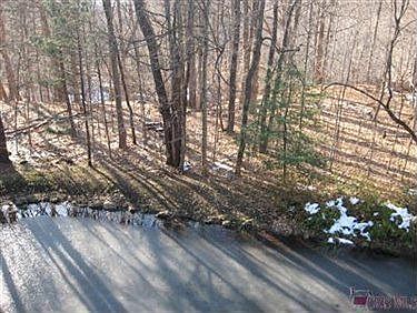 3rd image of 2180 Pinebrook Trl