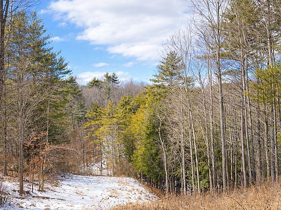 4th image of 1085 Krumkill Road