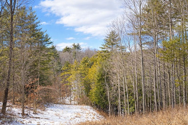 4th image of 1085 Krumkill Road