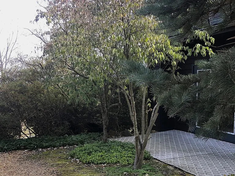 8376 Meadows Rd #COTTAGE — Photo 4