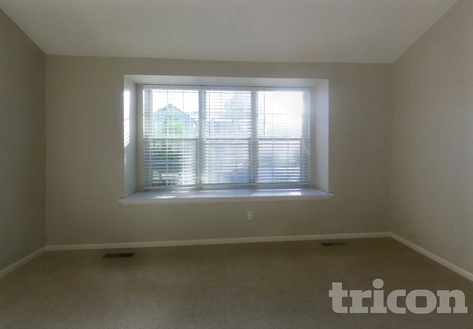 8381 White Cloud St Highlands Ranch CO — Photo 2