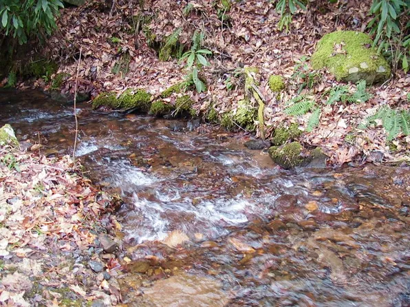 Wedgewood Cv, Sylva, NC 28779