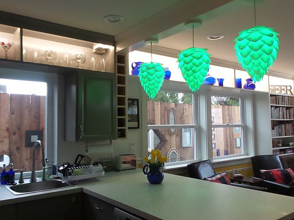 ADU kitchen & living room