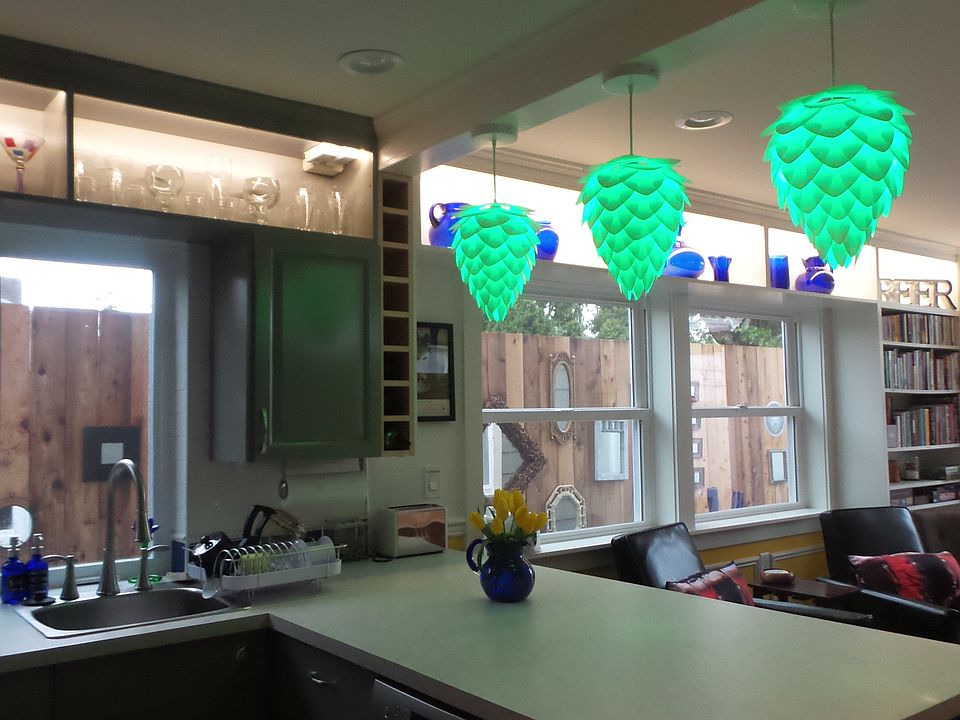 ADU kitchen & living room