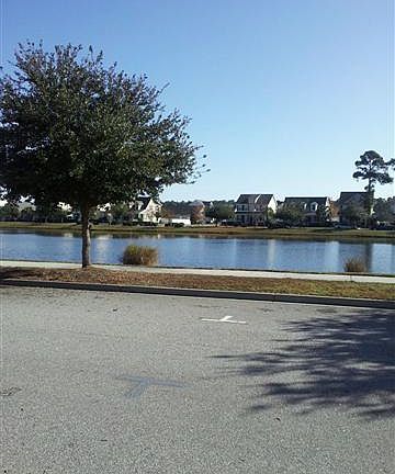 2nd image of 5 Sassafras