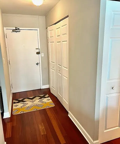 1255 N Sandburg Ter #1008 — Photo 8