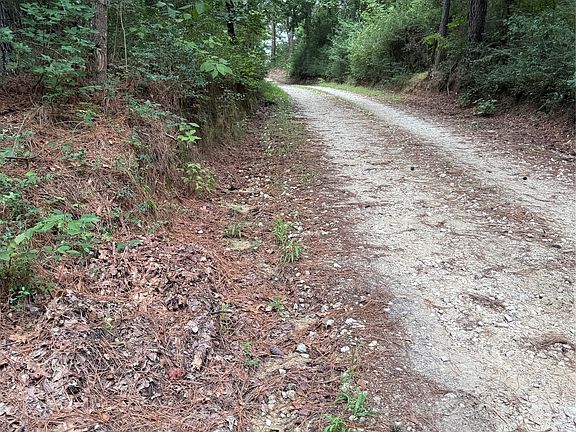 3rd image of 99999 County Road 207