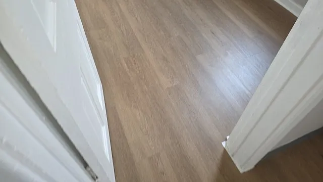 2 bed, $900 — Photo 2