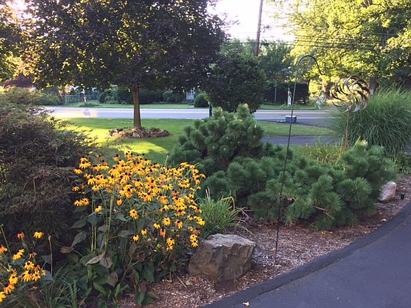 manicured gardens throughout