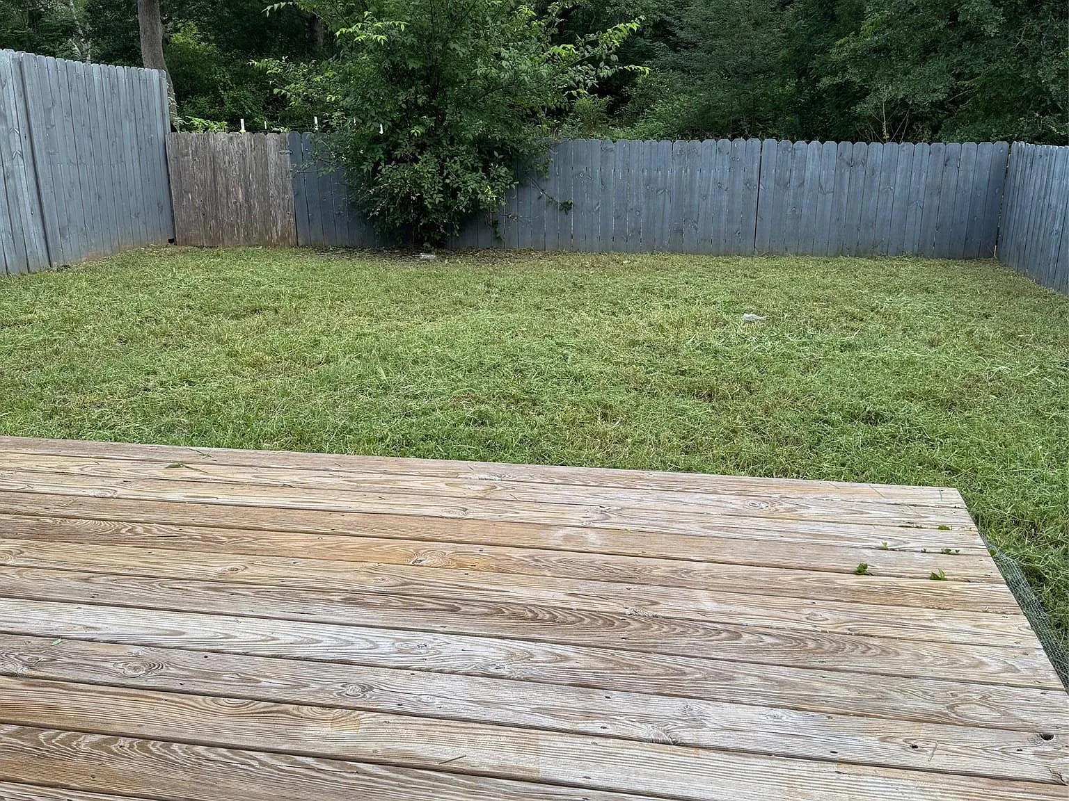 2 bed, 2.0 bath, 1000 sqft, $1,595 — Photo 3