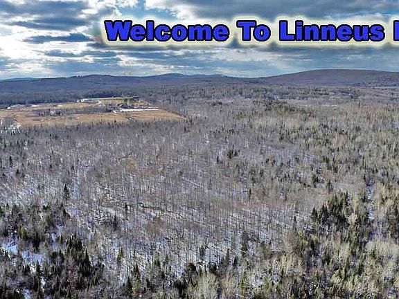 5th image of Lot 11-3-1 New Limerick Road