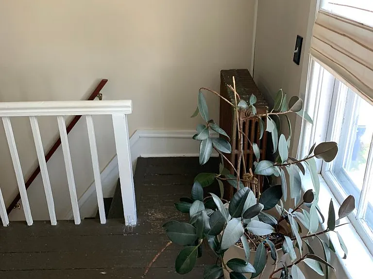 54 Elm St — Photo 15