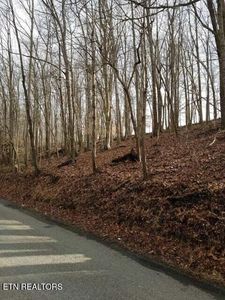 Old Cave Springs Rd, Tazewell, TN, 37879