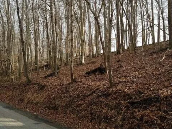 Old Cave Springs Rd, Tazewell, TN 37879
