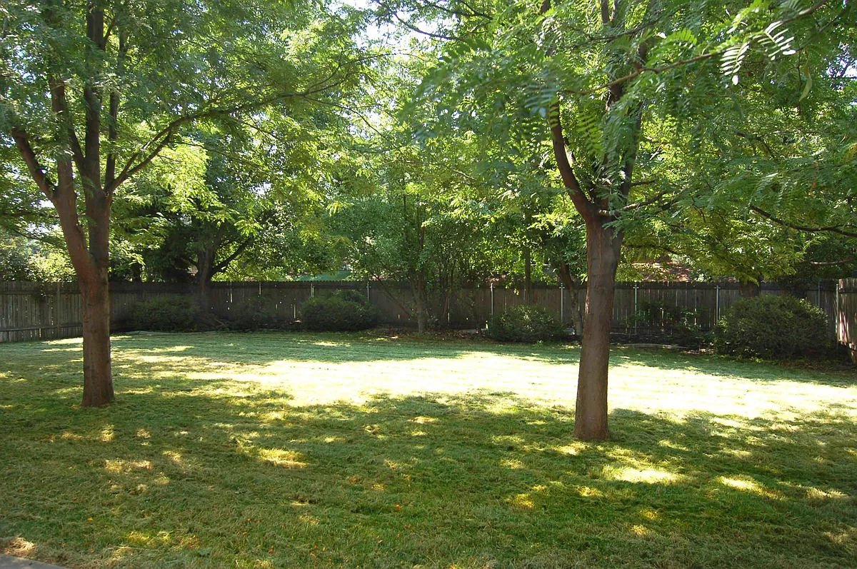 Large fully fenced Backyard - 1547 W Kenai Ct