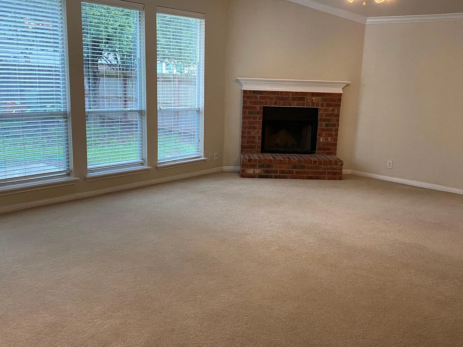 14230 Real Delight — Photo 2