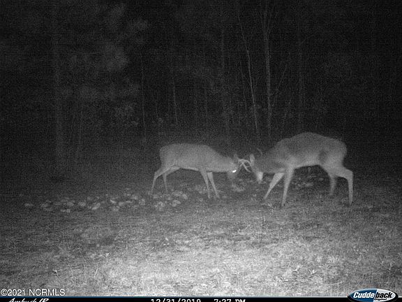 4th image of 34.87 Acre Nc Hwy 53 E