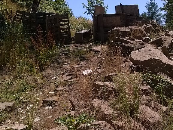 drainfield used as goat area