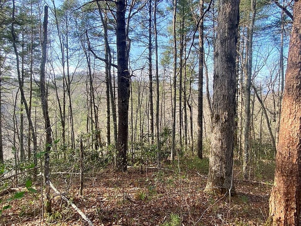 1st image of 96 Whetstone Rd Lot 96
