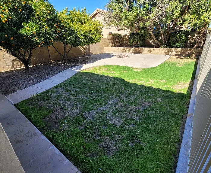 4606 E Meadow Dr — Photo 19