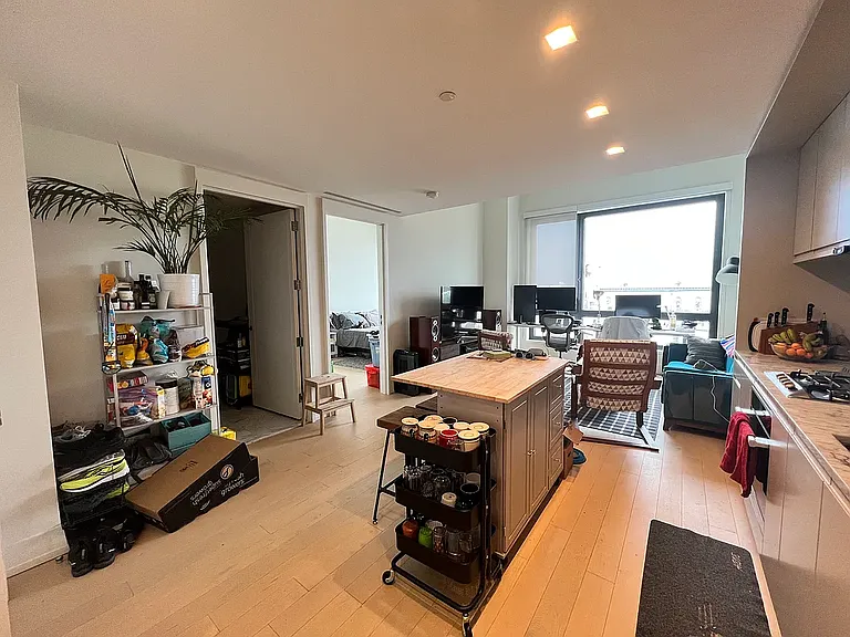 550 Vanderbilt Ave #717 — Photo 3