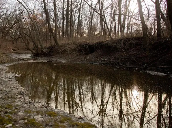 705 NE Noeleen Ln, Lees Summit, MO 64086