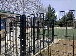 Dog Park