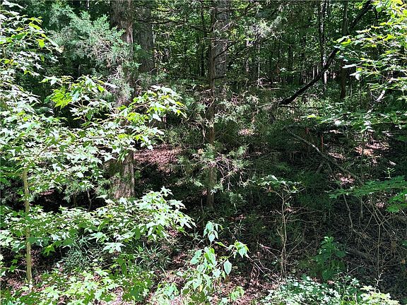 4th image of LOT 2176 N Sundew Dr