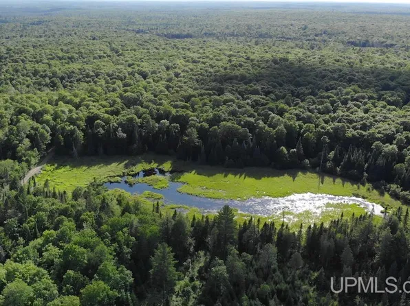 Tbd1 Off Cut Across Rd, Michigamme, MI 49861