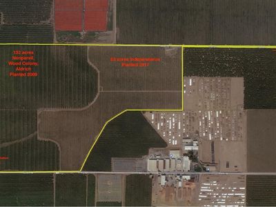27901 Eastin Rd, Newman, CA, 95360
