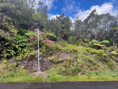 Nahelenani St Lot 53-B-342, Volcano, HI, 96785