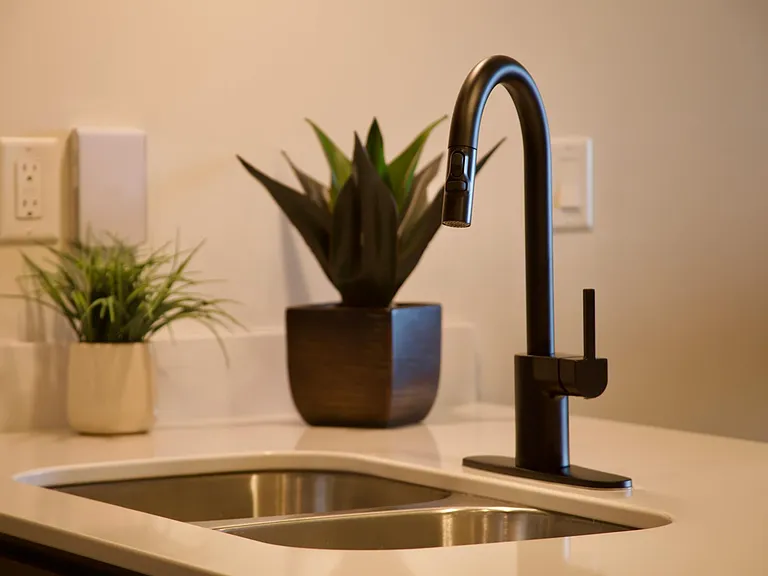 Upgraded kitchen faucets and dual sinks for efficient and easy clean-up!