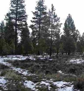 Misty Mountain 5 Lot, Klamath Falls, OR, 97603