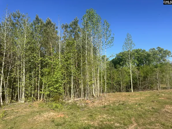 2145 Livingston Rd, Pomaria, SC 29126