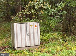 Black Swamp Rd, Felton, DE 19943