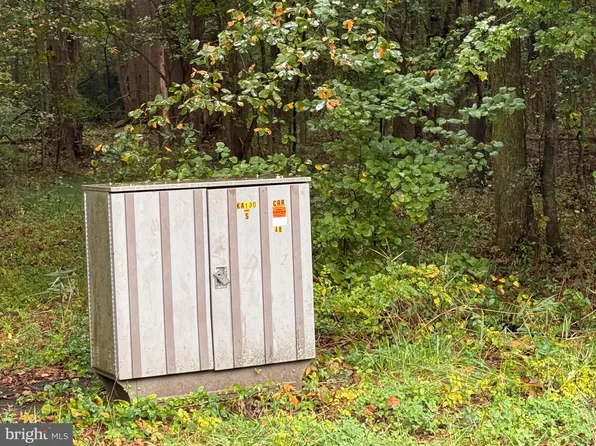 Black Swamp Rd, Felton, DE 19943