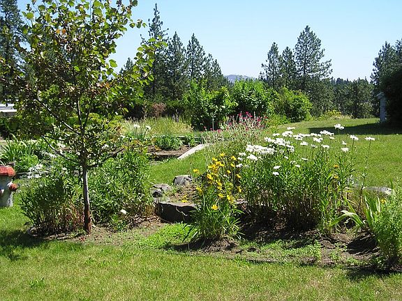 Lovely Garden