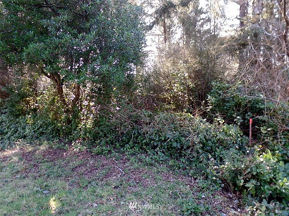 2nd image of 463 Snahapish Avenue SE lot56