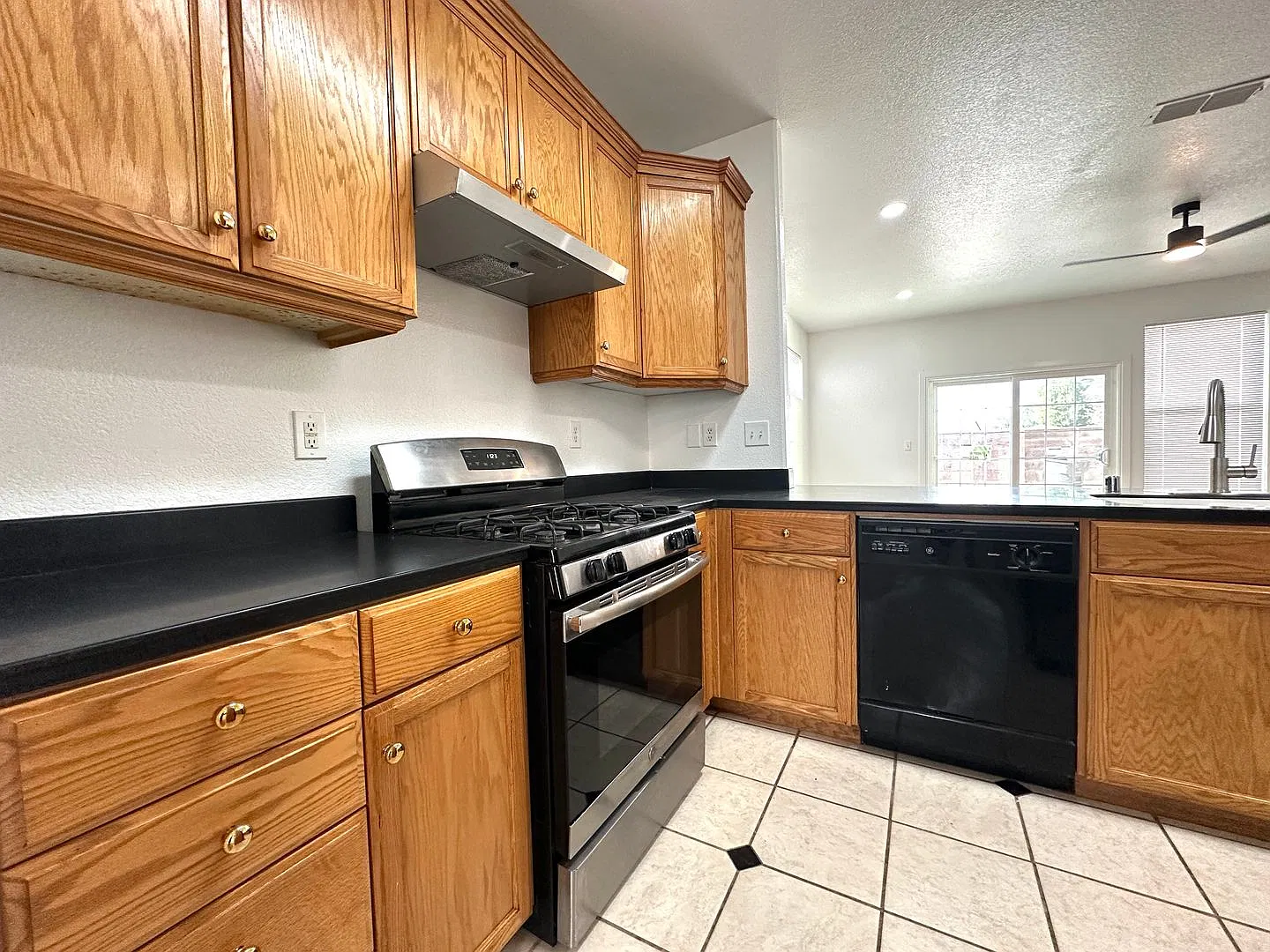 Turn-Key Gem at 1609 Emerald Dr Open Layout, Fireplace & Modern Finishes! — Photo 3