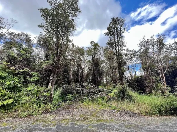 Road 7 Lot 333, Volcano, HI 96785