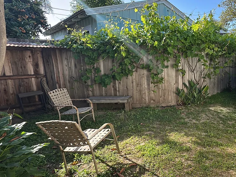 Private side yard